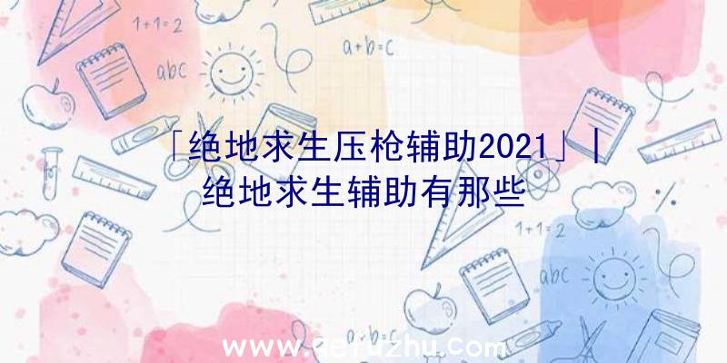 「绝地求生压枪辅助2021」|绝地求生辅助有那些